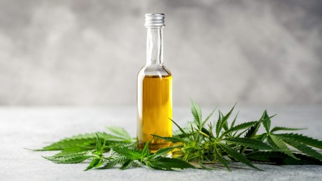 CBD Oil